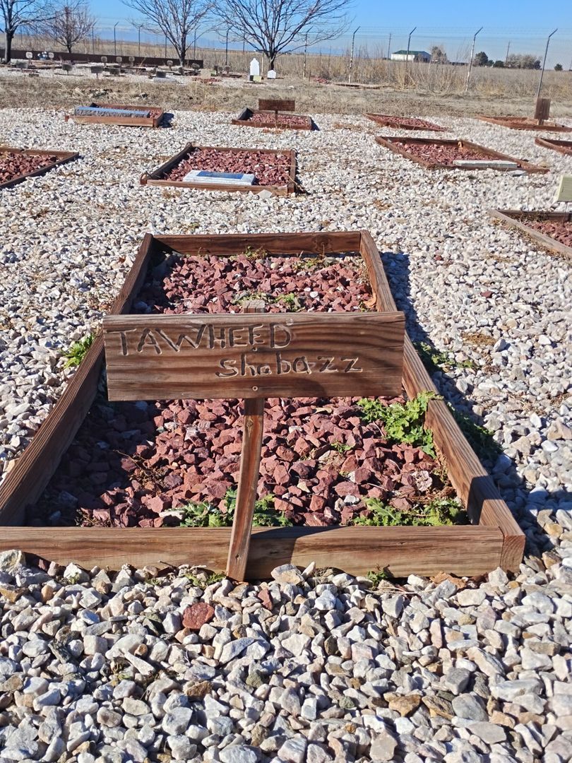 Tawheed Shabazz's grave. Photo 1