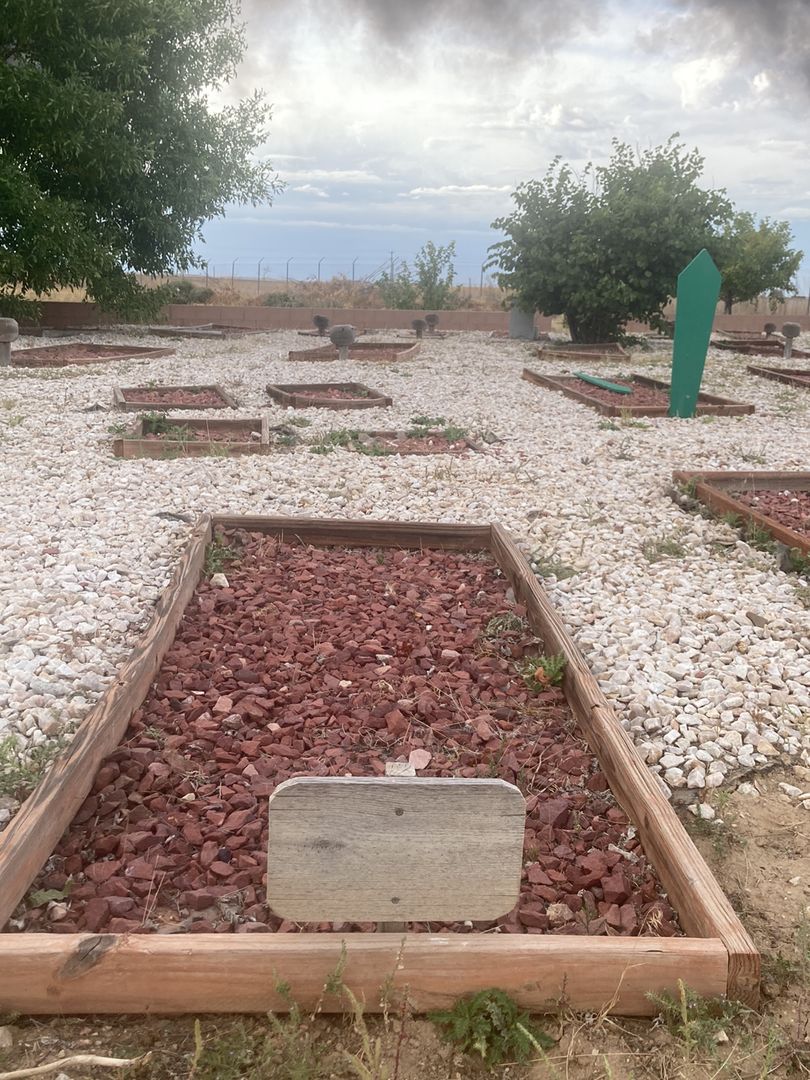 Abdul Kadir Osman Ali's grave. Photo 1