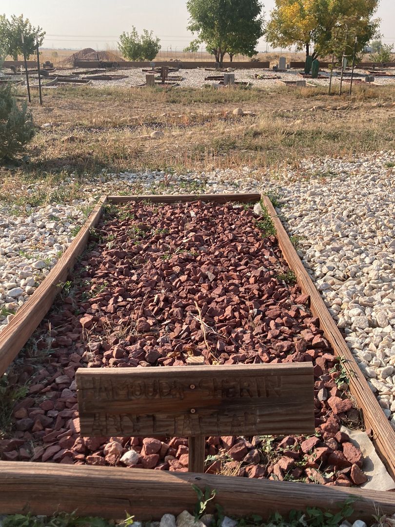 Hamouda Sherin Abdeltaffar's grave. Photo 1