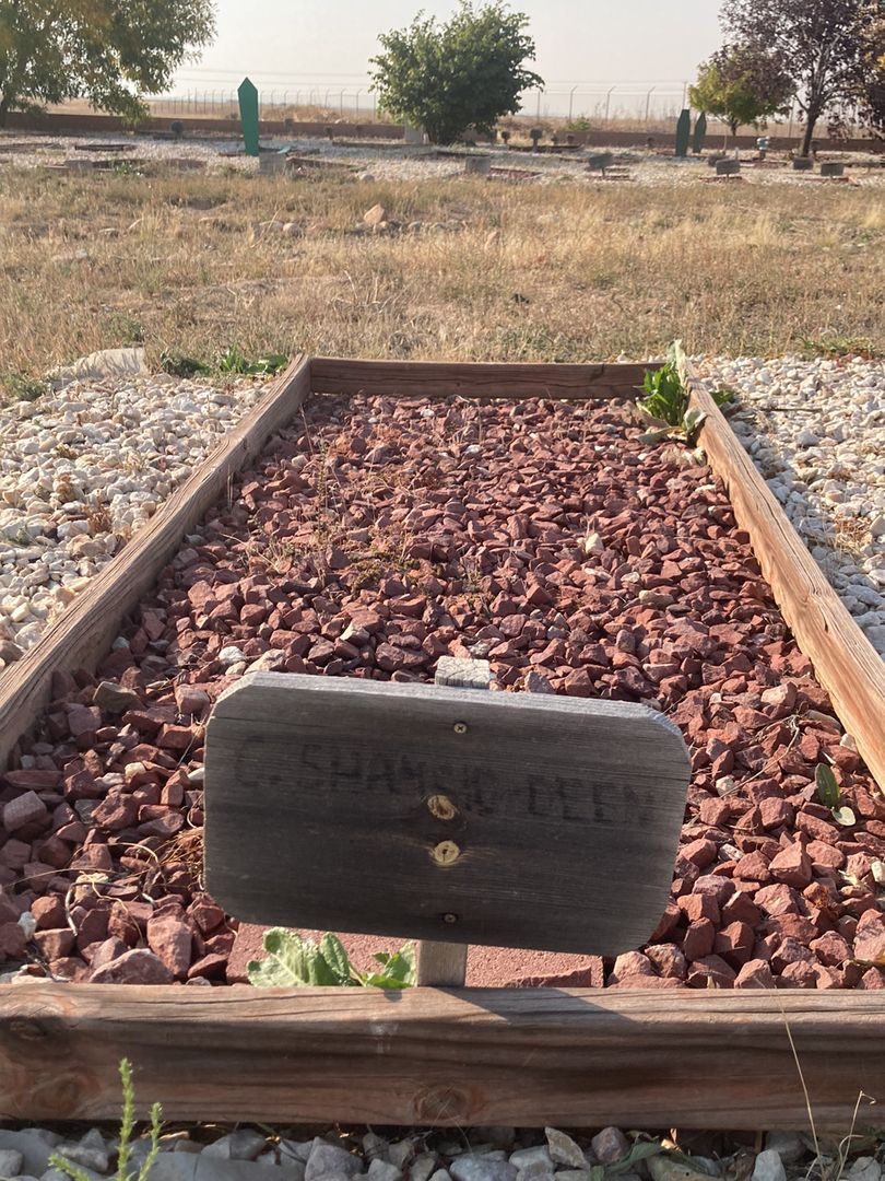 C. Deen's grave. Photo 1
