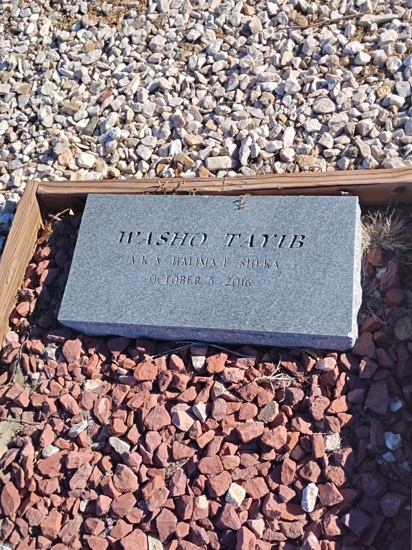 Washo Tayib's grave. Photo 1