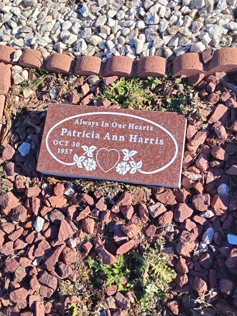 Patricia Ann Harris's grave. Photo 1