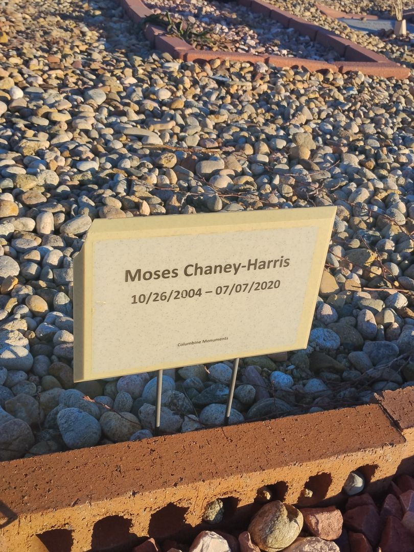 Moses Chaney-Harris's grave. Photo 1