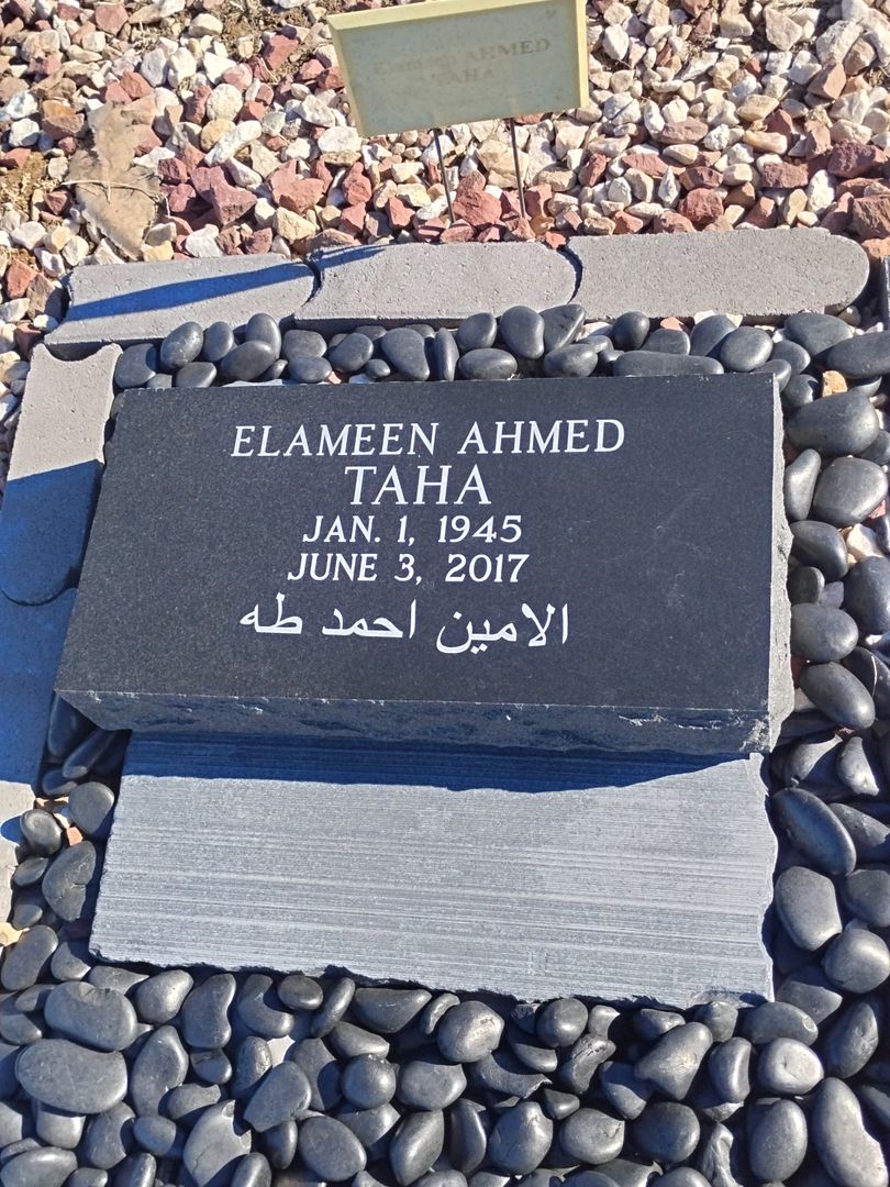 Elameen Ahmed Tana's grave. Photo 1